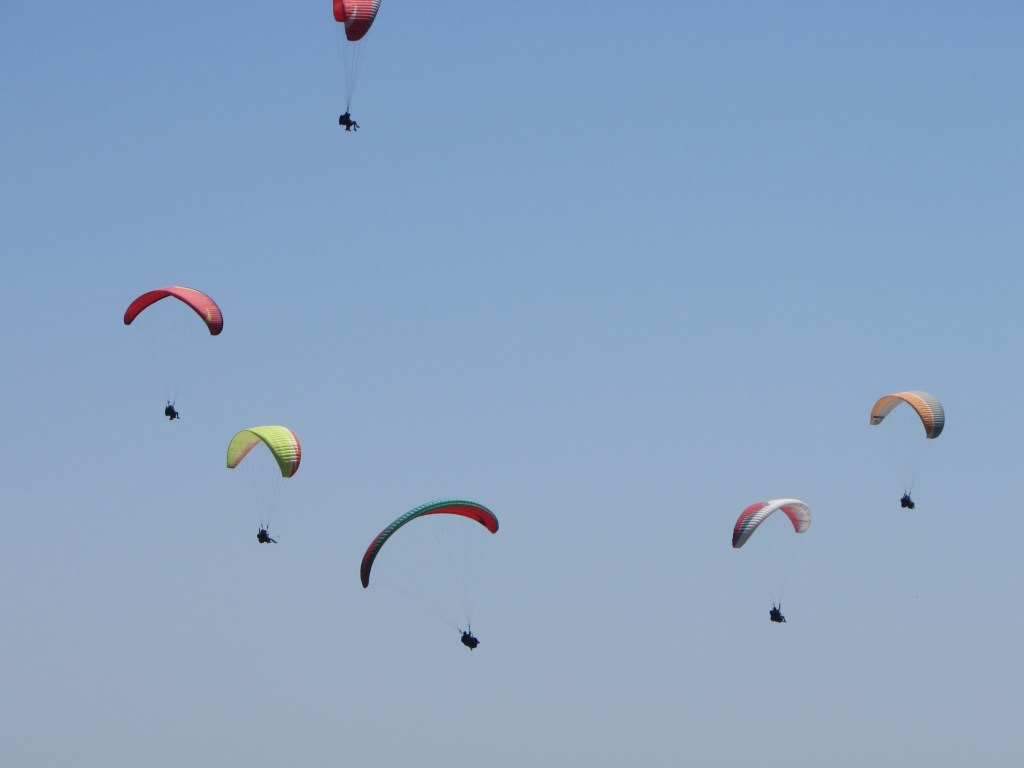 Ballet of paragliders at Sarangkot