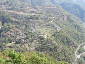 Terrace farmland seen from my hike