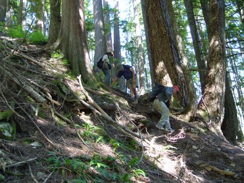 Going down with packs full of stone with crystals and iron pyrite
