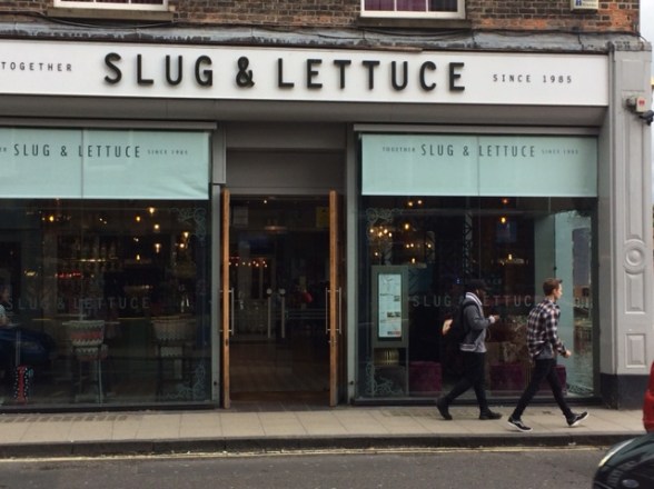 York slug and lettuce