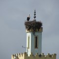 Minaret w Stork 2